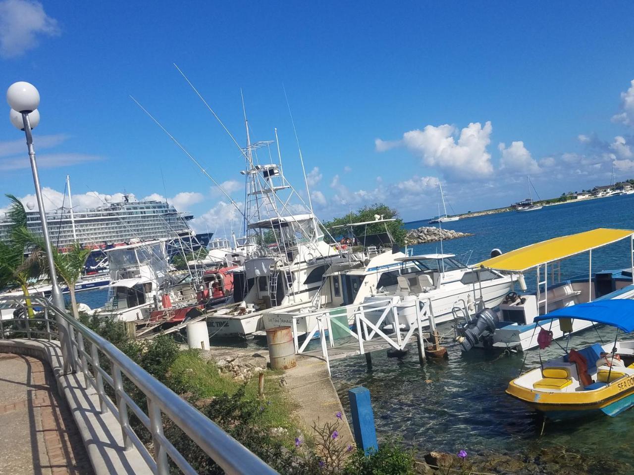 Rosi Ocean Sand Hotel Apt Ocho Rios Zewnętrze zdjęcie